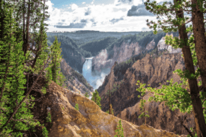 Turning Expired Sanitizer Into Fuel for the Future