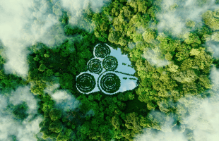 Sustainability & ESG