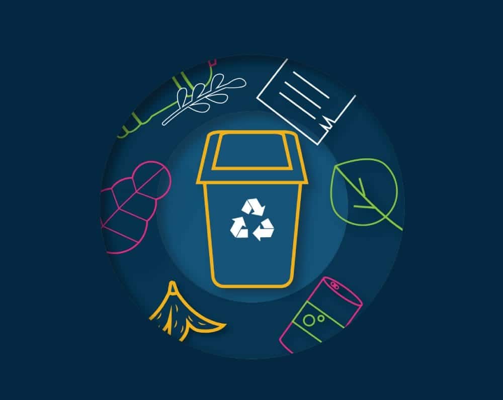 Innovations in Sustainability: A Compendium of CheckSammy’s 2023 Sustainability Case Studies